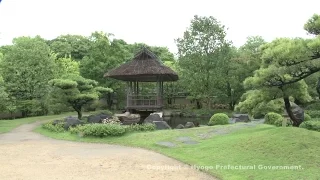 好古園（竹の庭）