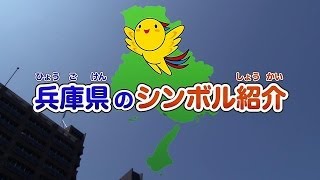 こども向け・兵庫県魅力紹介　～兵庫県のシンボル～