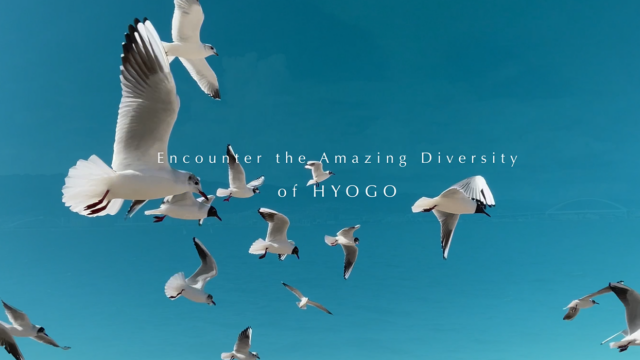 新西宮ヨットハーバーへのスーパーヨット誘致/Encounter the Amazing Diversity of HYOGO