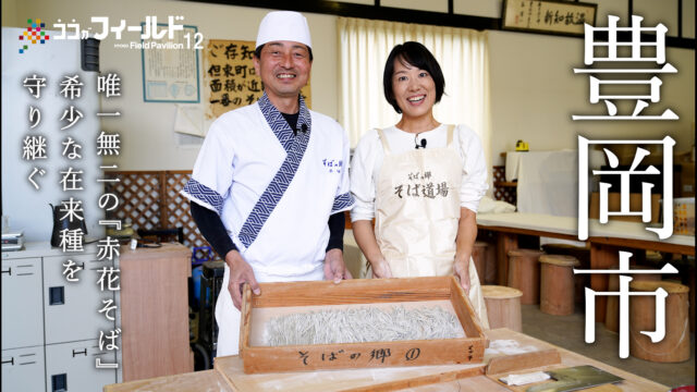 唯一無二の「赤花そば」希少な在来種を４００年守り継ぐ～豊岡市但東町～/ココがフィールド12