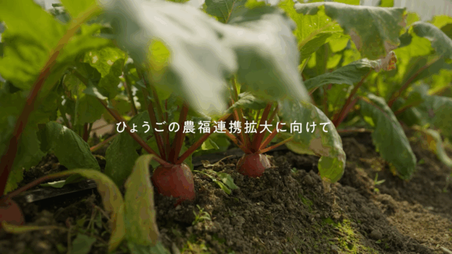 ひょうごの農福連携拡大に向けて