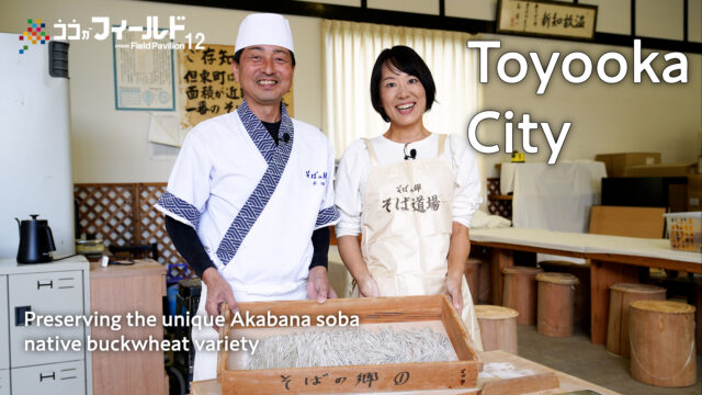 Preserving the unique Akabana soba-native buckwheat variety, Toyooka