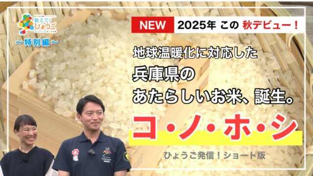 サンテレビ「ひょうご発信！特別編」コ・ノ・ホ・シの概要版