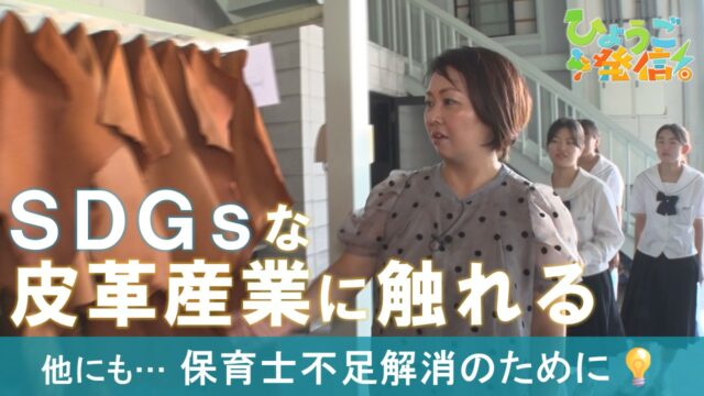 本当に「良い革」とは？皮革工場見学で革の魅力を体感（2025年9月21日 ひょうご発信！）