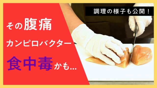 カンピロバクター食中毒について