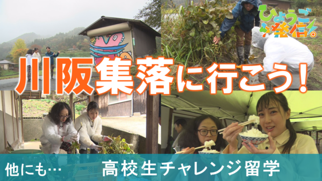川阪集落の未来をつくるお手伝い♪黒枝豆収穫に干し柿作りも！（2025年12月7日 ひょうご発信！）