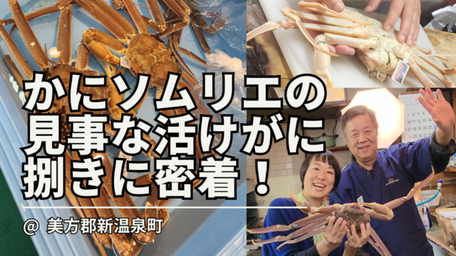 浜坂でかにソムリエの見事な活がに捌きに密着！/ 美方郡新温泉町 松葉がに