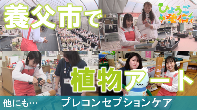 養父市で植物に癒やされる！多肉植物寄せ植え体験＆竹灯り製作ワークショップ（2026年2月1日 ひょうご発信！）