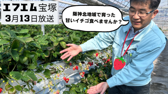 阪神北県民局提供番組「きらっと☆阪神北だより」（2026年3月13日放送）