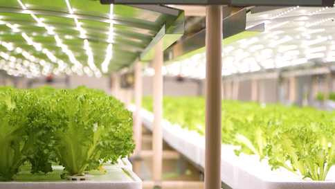 【伊東電機㈱】学生によるSDGsゴールド認証企業PR動画④